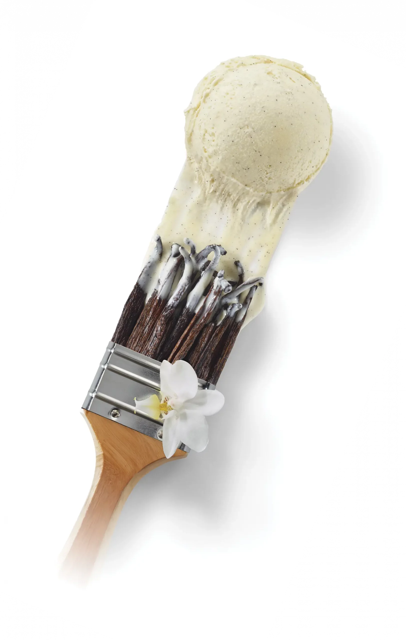Glace vanille